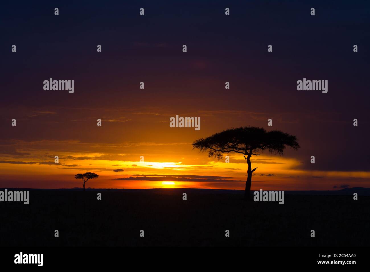 Maasai mara kenya landscape sunset hi-res stock photography and images ...