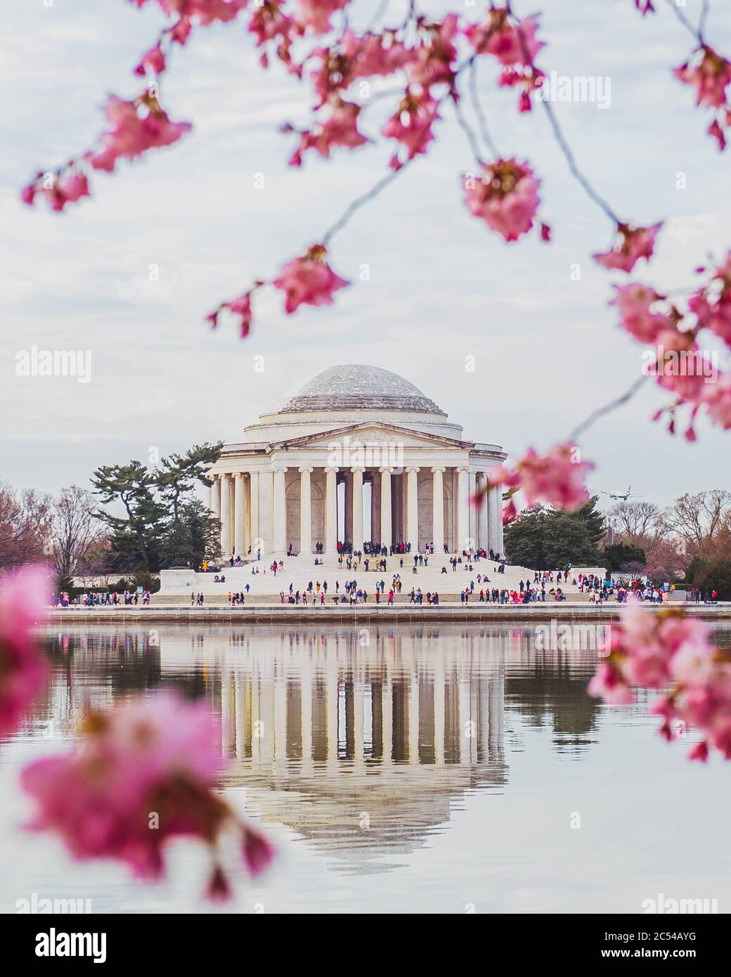The Thomas Jefferson Memorial framed by pink cherry blossoms and reflected in the water of the Tidal Basin on a Spring morning in Washington, D.C. Stock Photo