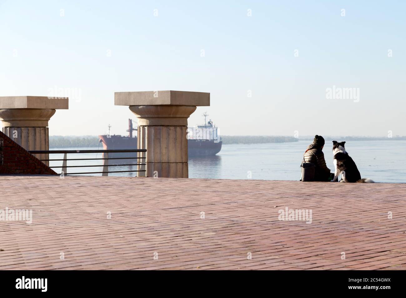 ROSARIO, ARGENTINA - JULY 16, 2019: Scene of man with his dog in the Spain Park. The parana river and a cargo ship at the background. Stock Photo