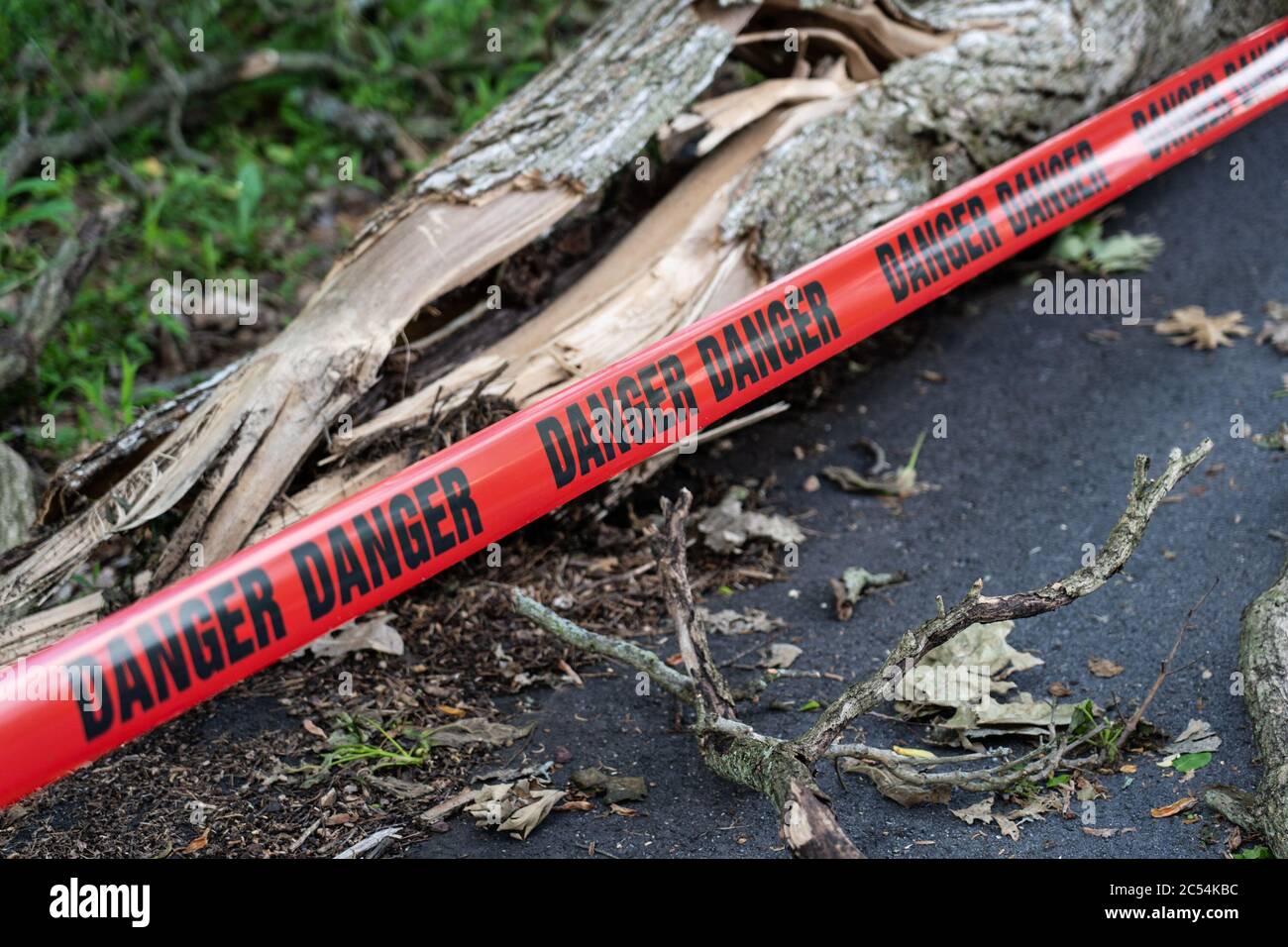 selective focus on the word danger on a red tape across the road with a tree down after a big storm Stock Photo