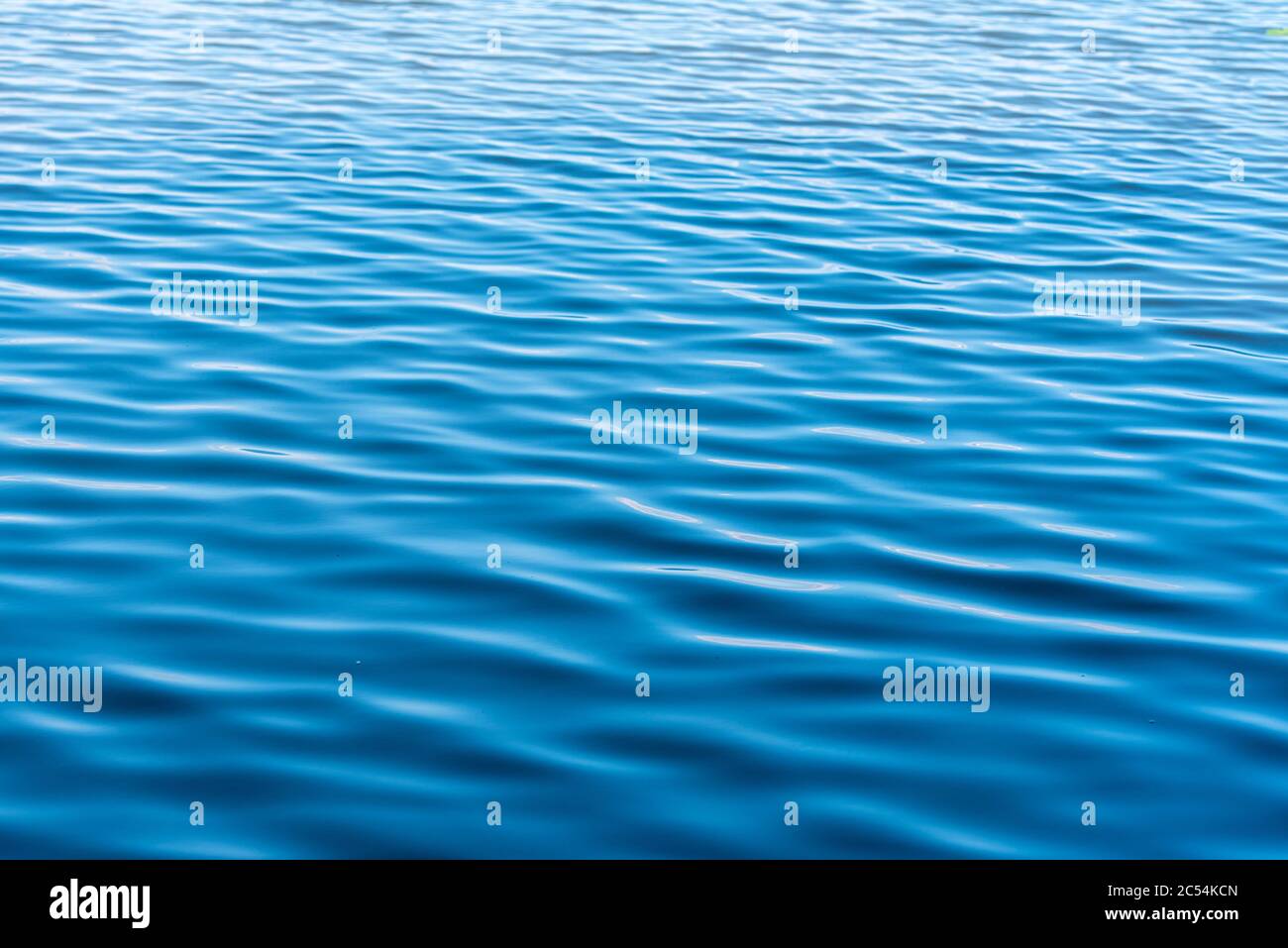 Water surface sea or ocean with sunlight as background Stock Photo
