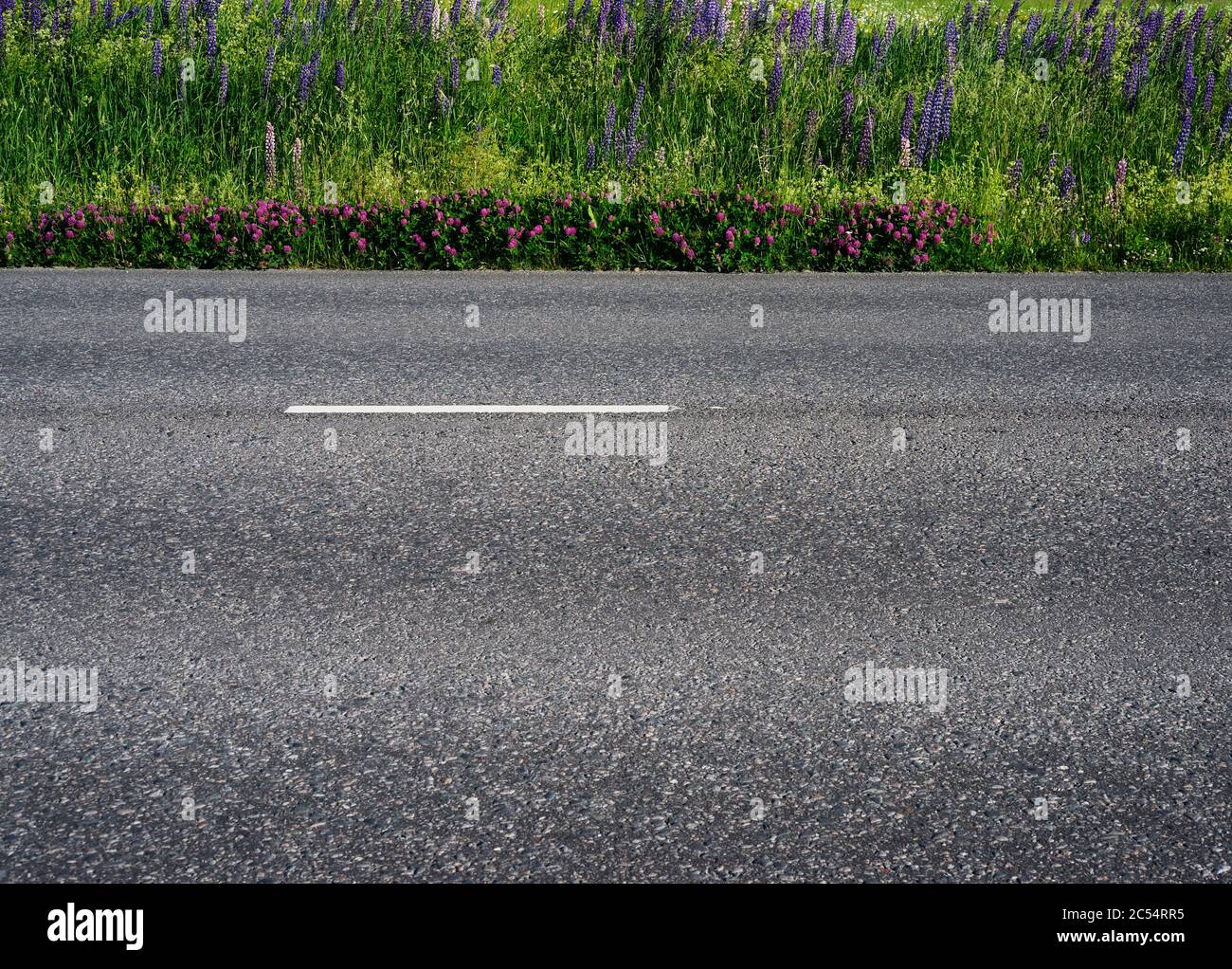asphalt road along the field somewhere in Finland, in the middle of summer Stock Photo