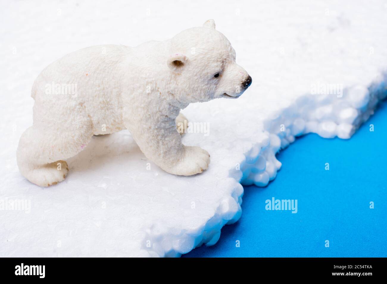 Fake Polar bear cub placed on fake snow and sea background environment Stock Photo Alamy