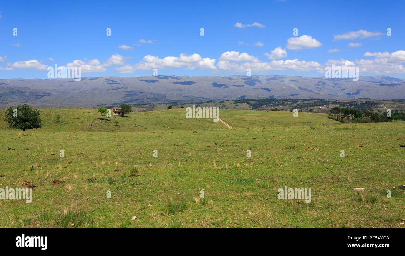 CORDOBA, ARGENTINA.Valley of Calamuchita, near Villa Yacanto. Horses, trees and green lawn. Sierras of Cordoba, Argentina. The mountains on the horizo Stock Photo