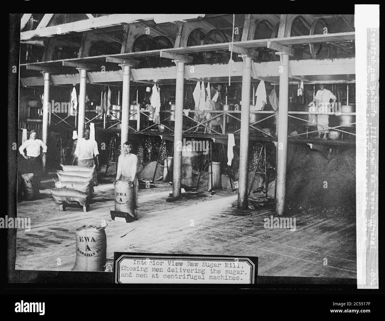 Interior views Raw Sugar Mill, showing men delivering the sugar, and