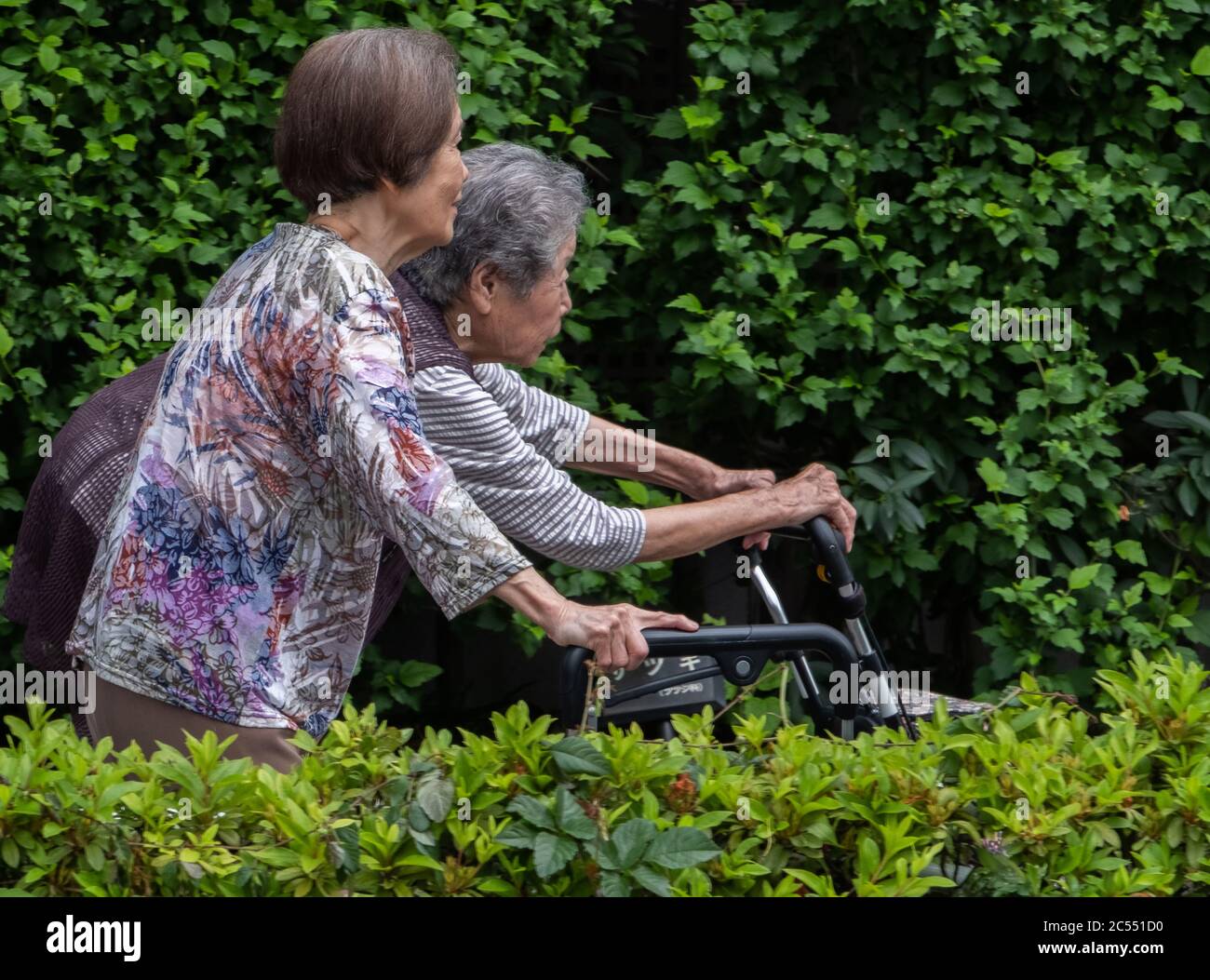 Japanese elderly women walking at the Kamimeguro neighborhood, Tokyo, Japan Stock Photo