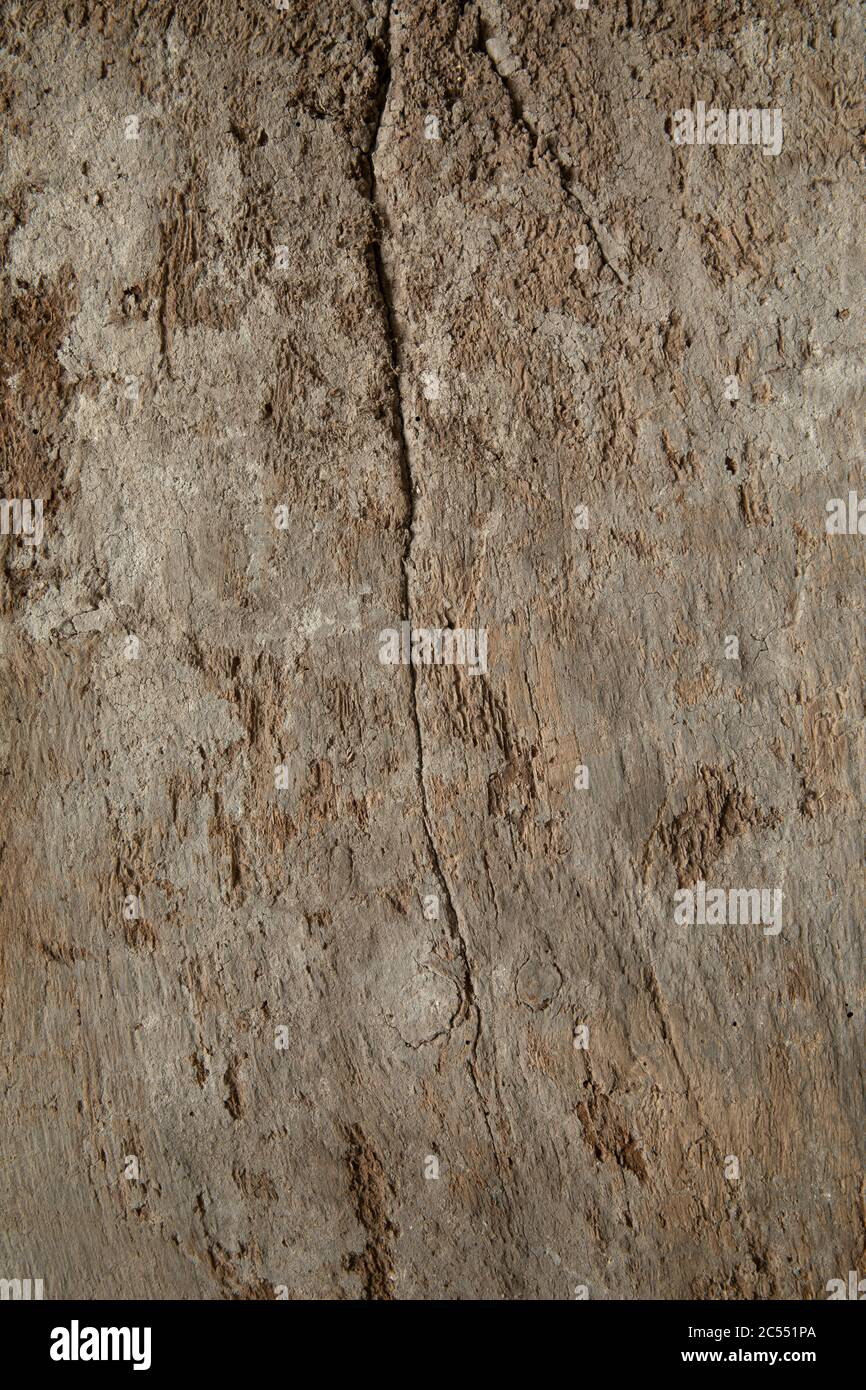 WOOD TEXTURED OLD BACKGROUND Stock Photo