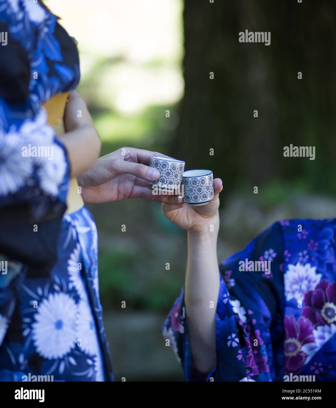 Vertical shot of two women in kimono robes banging teacups on a background of nature Stock Photo