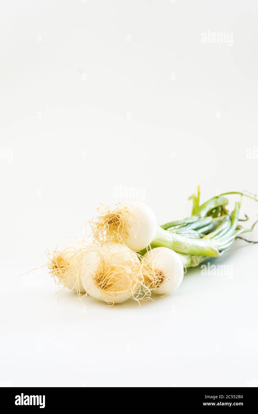 Green onions isolated on a white background Stock Photo - Alamy