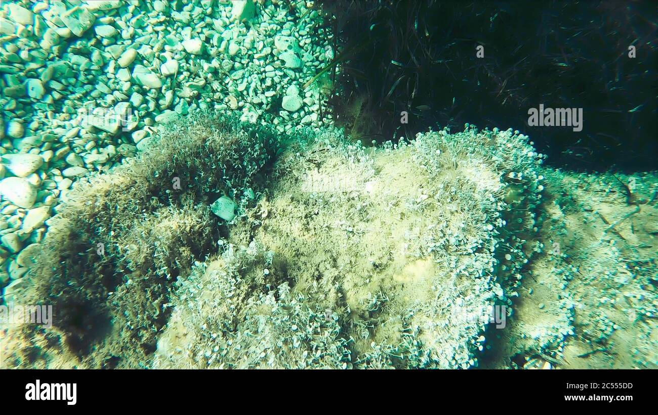 Underwater river bottom slow motion hi-res stock photography and images ...