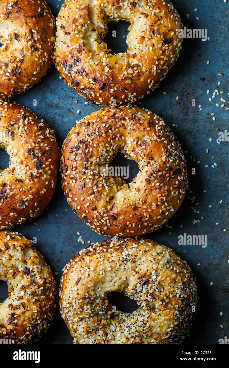 Everything Bagels Stock Photo