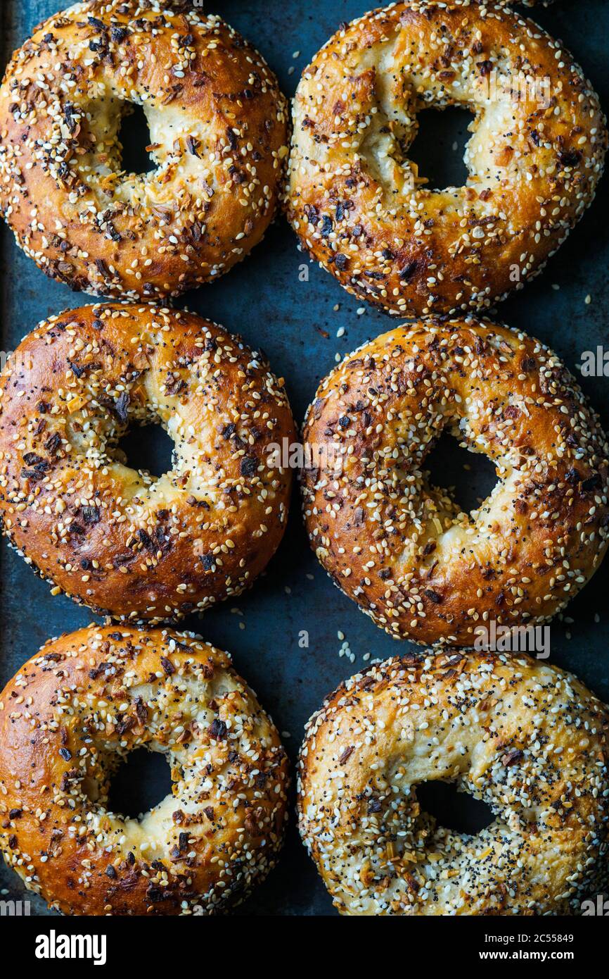 Everything Bagels Stock Photo