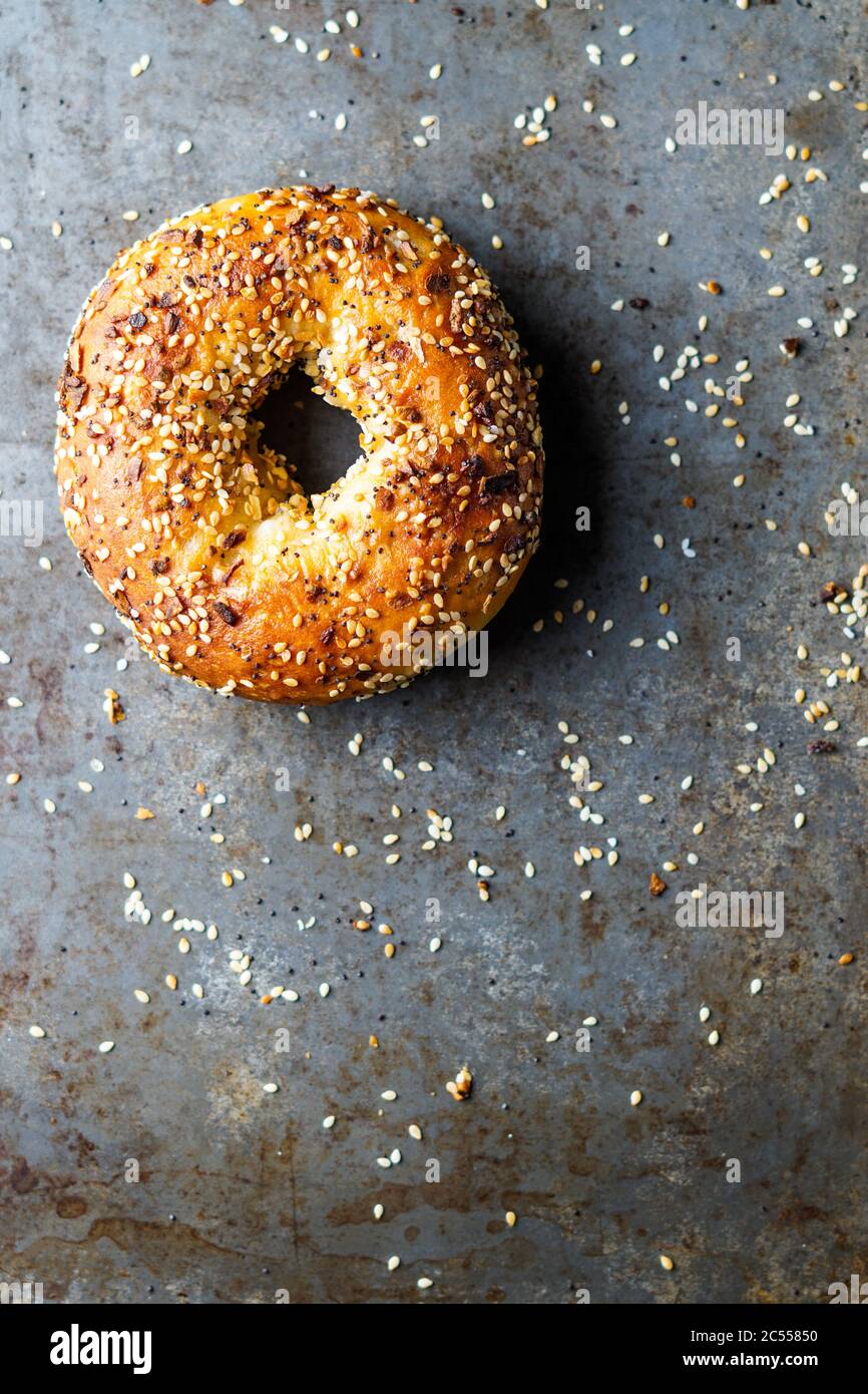 Everything Bagels Stock Photo