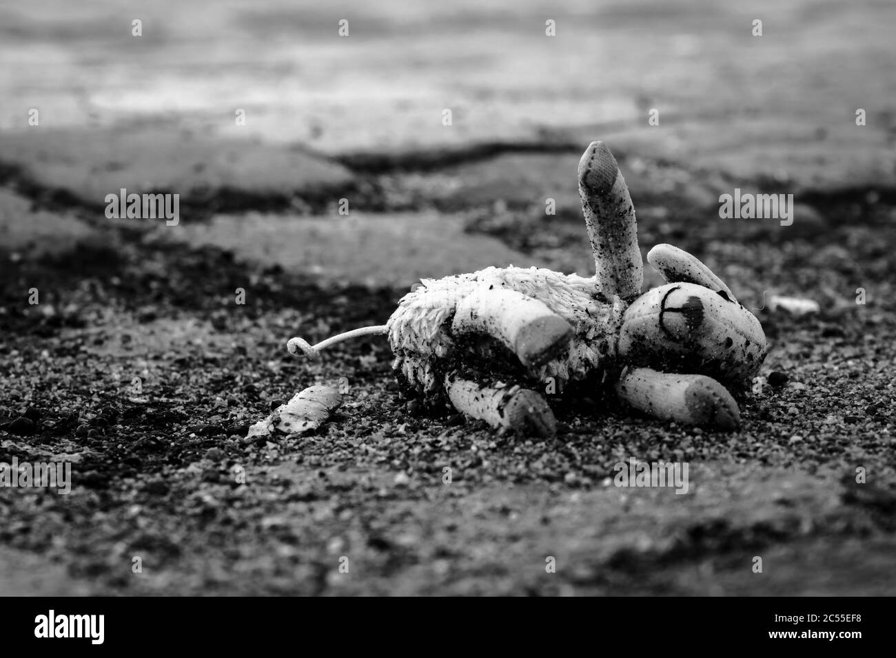 Lost stuffed animal sheep on the streets in black and white Stock Photo
