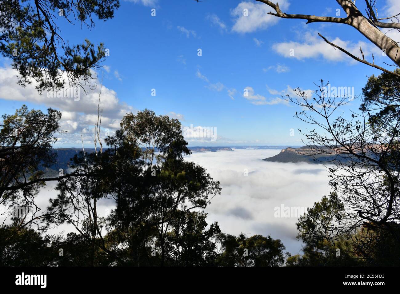 A view at Sublime Point in the Blue Mountains showing mist in the valley Stock Photo