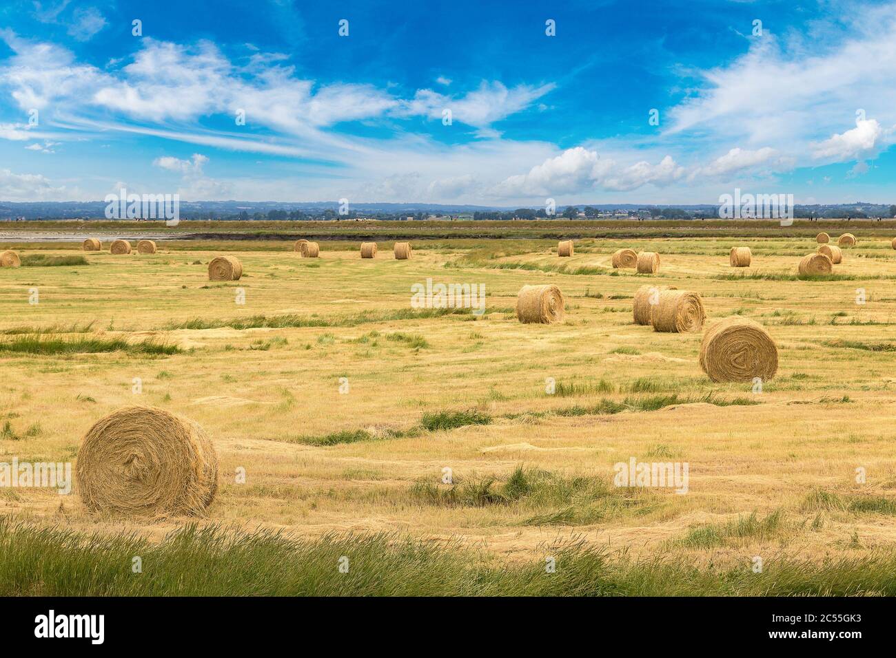 Hay bale field in a beautiful summer day Stock Photo - Alamy