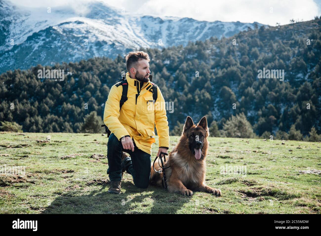 german shepherd backpack