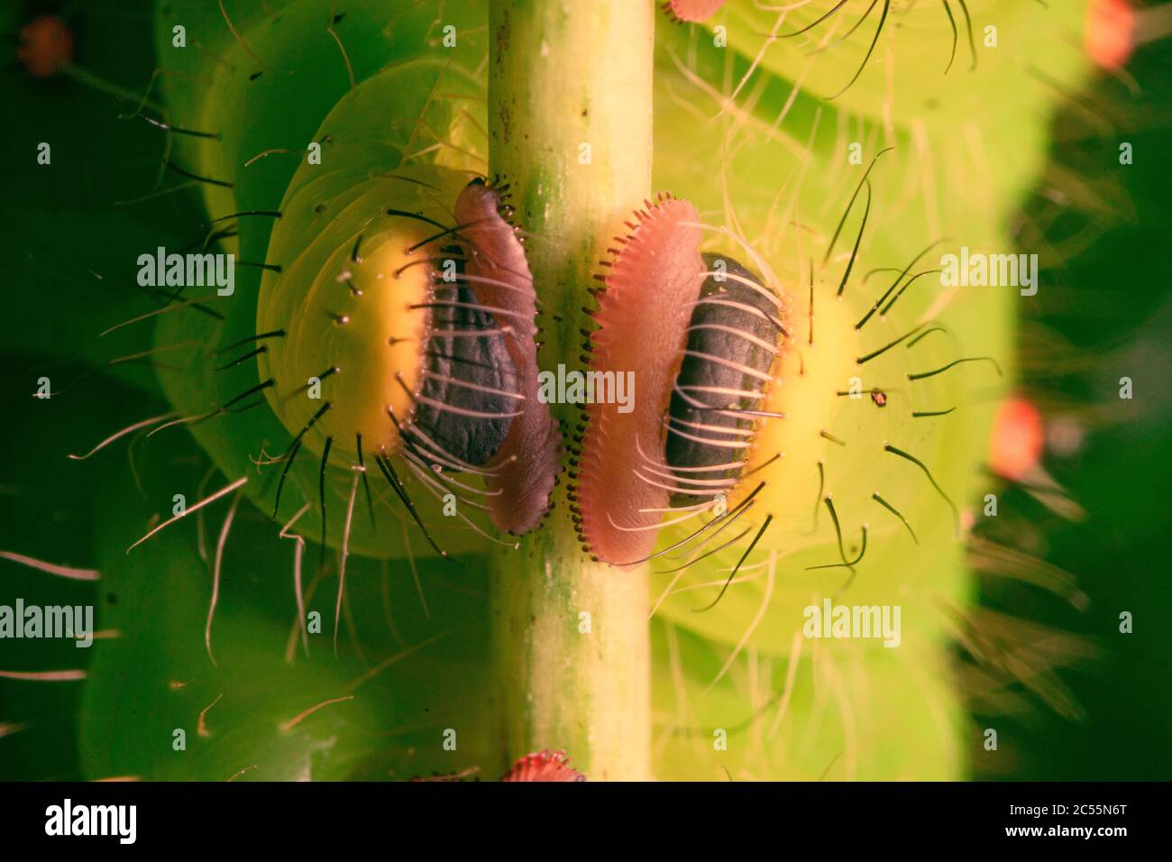 Crochets hi-res stock photography and images - Alamy