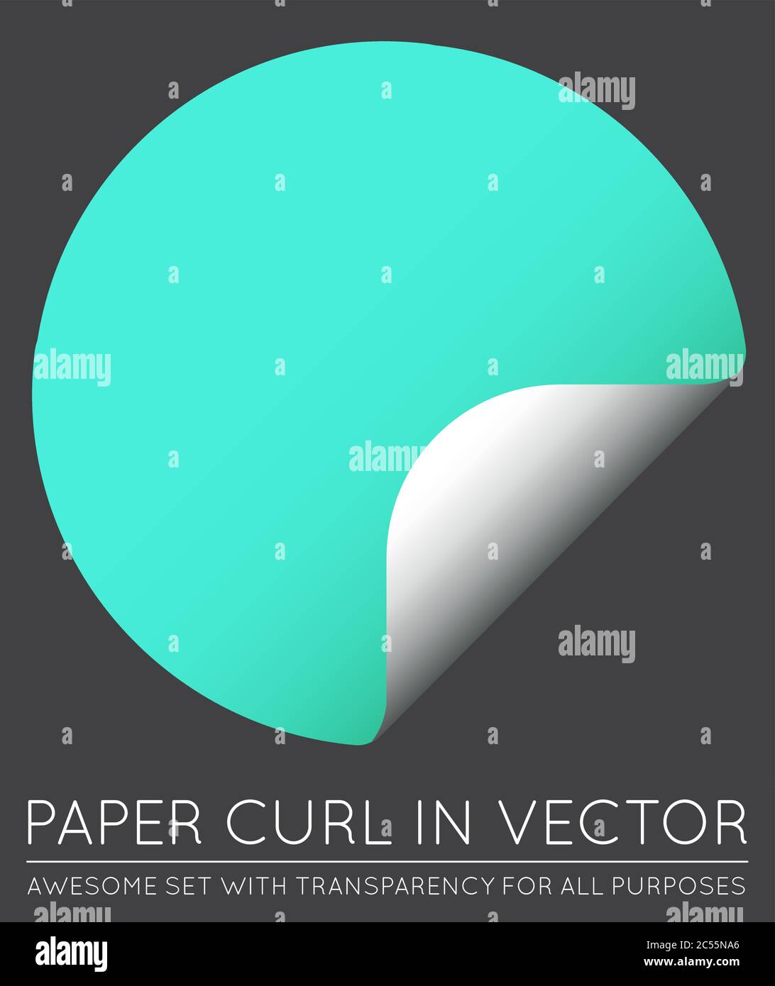 Vector Sticker with Paper Curl with Shadow Isolated Stock Vector Image ...