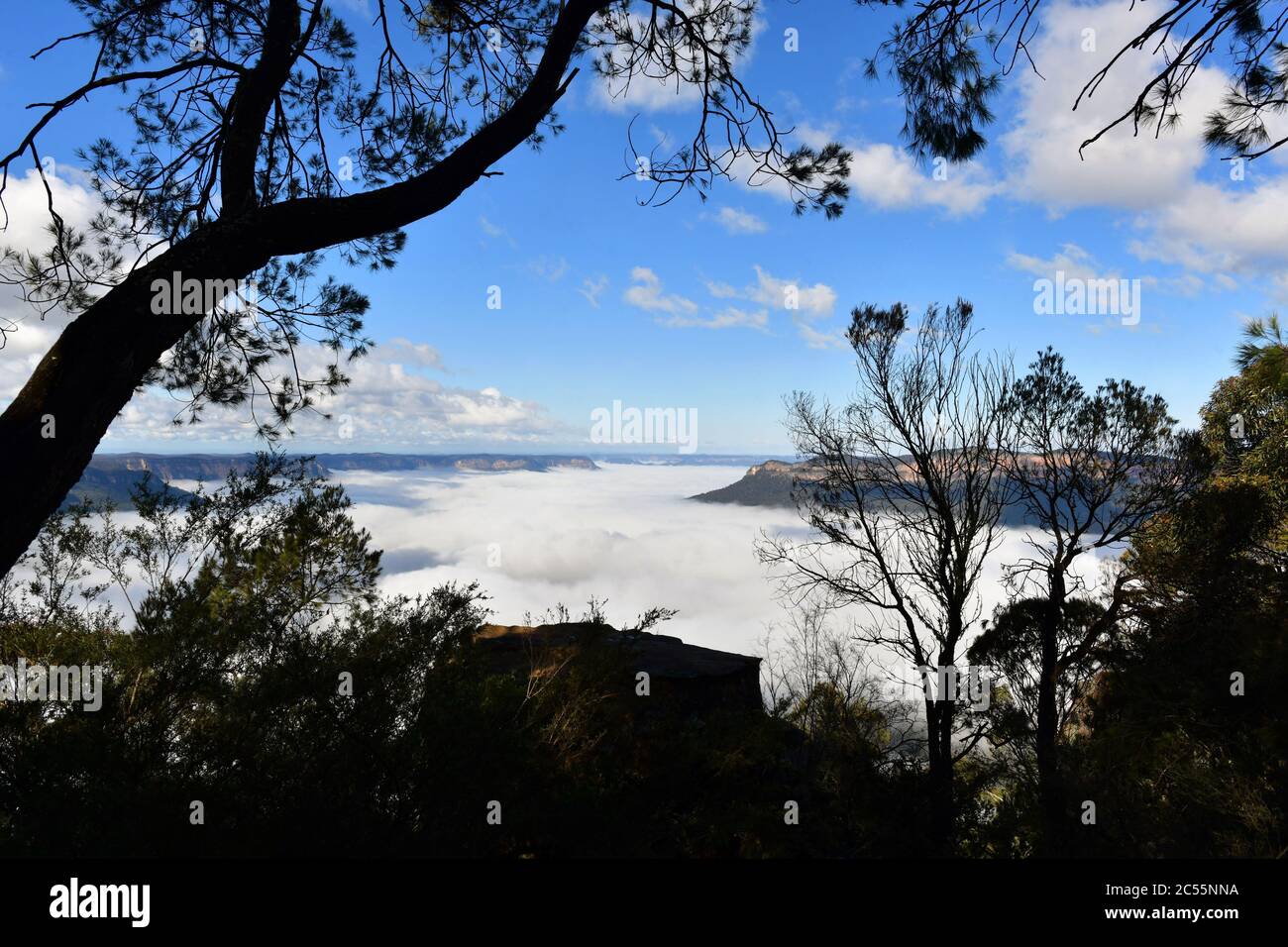 A view at Sublime Point in the Blue Mountains showing mist in the valley Stock Photo