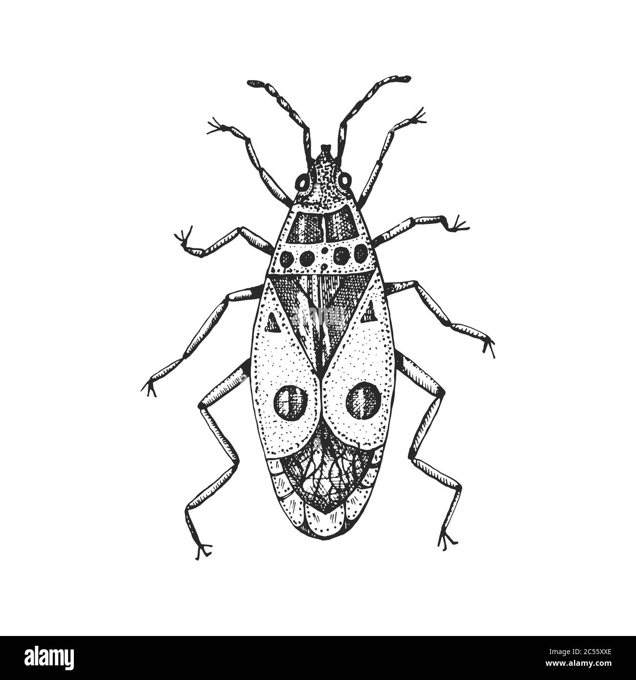 bomb house for insects