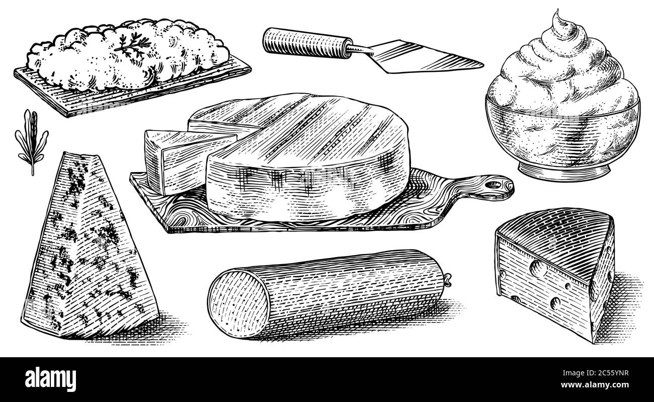 Cheese set. Slices of Mascarpone Bleu de Gex Edam Camembert Mozzarella for market or grocery store. Cheeseboard and Fresh organic milk. Vector Stock Vector