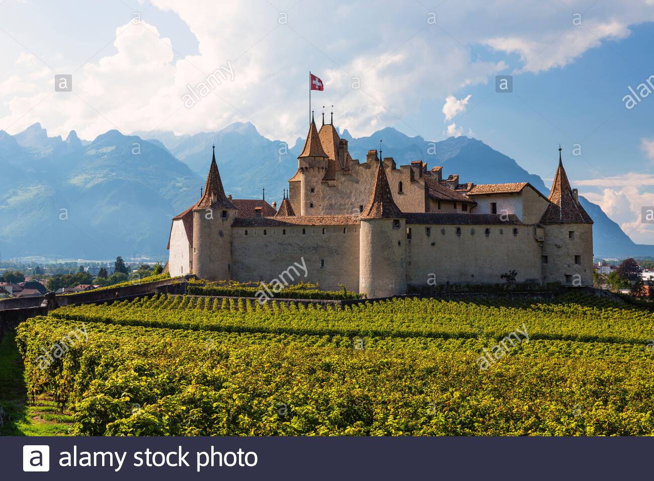 Winegrowing by the Aigle Castle Stock Photo - Alamy