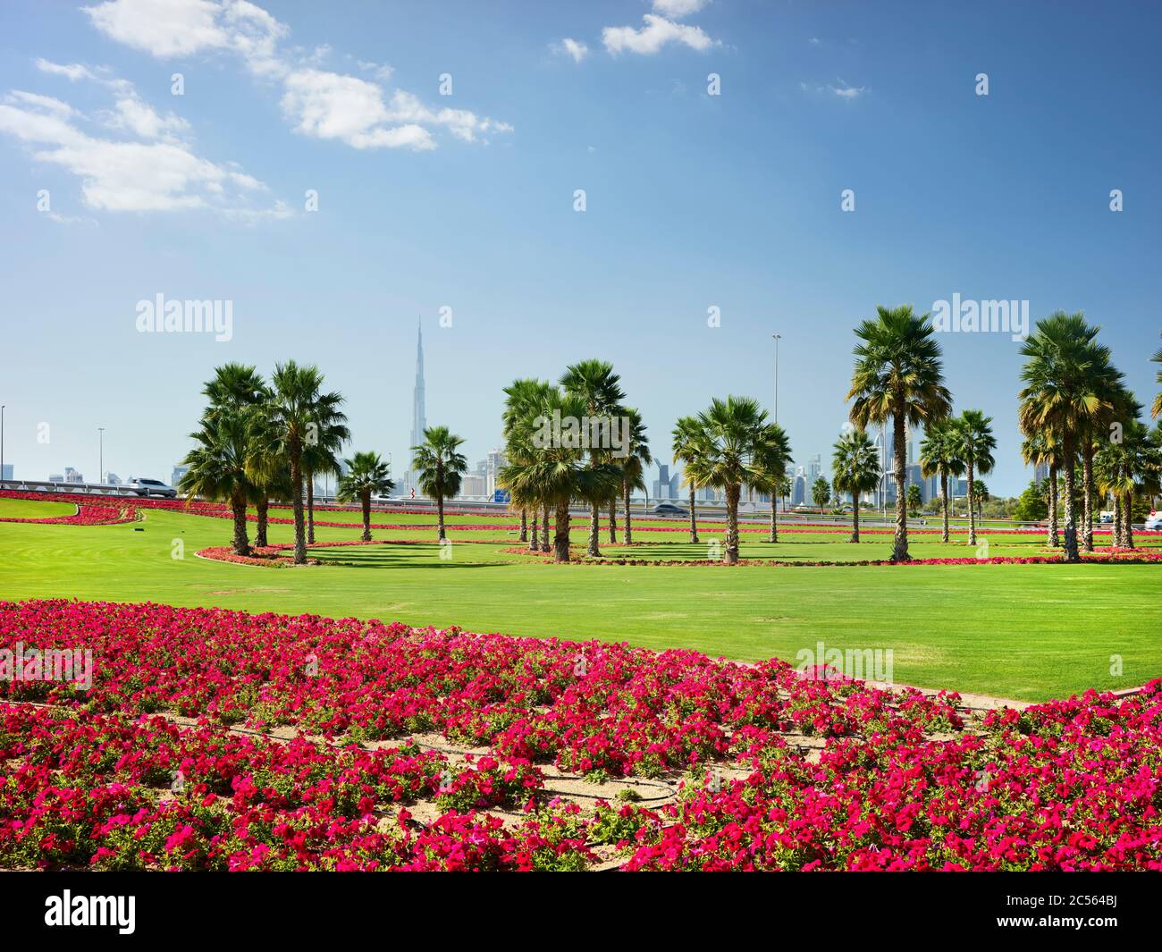 Palm trees and flowers, Dubai, United Arab Emirates Stock Photo Alamy