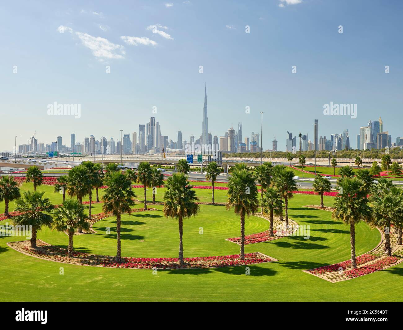 Skyline, green meadows, palm trees, flowers, Dubai, United Arab