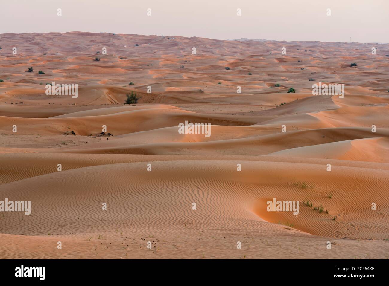 Dunes Desert Dubai United Arab Emirates Stock Photo Alamy Dunes Desert Dubai United Arab Emirates Stock Photo Alamy