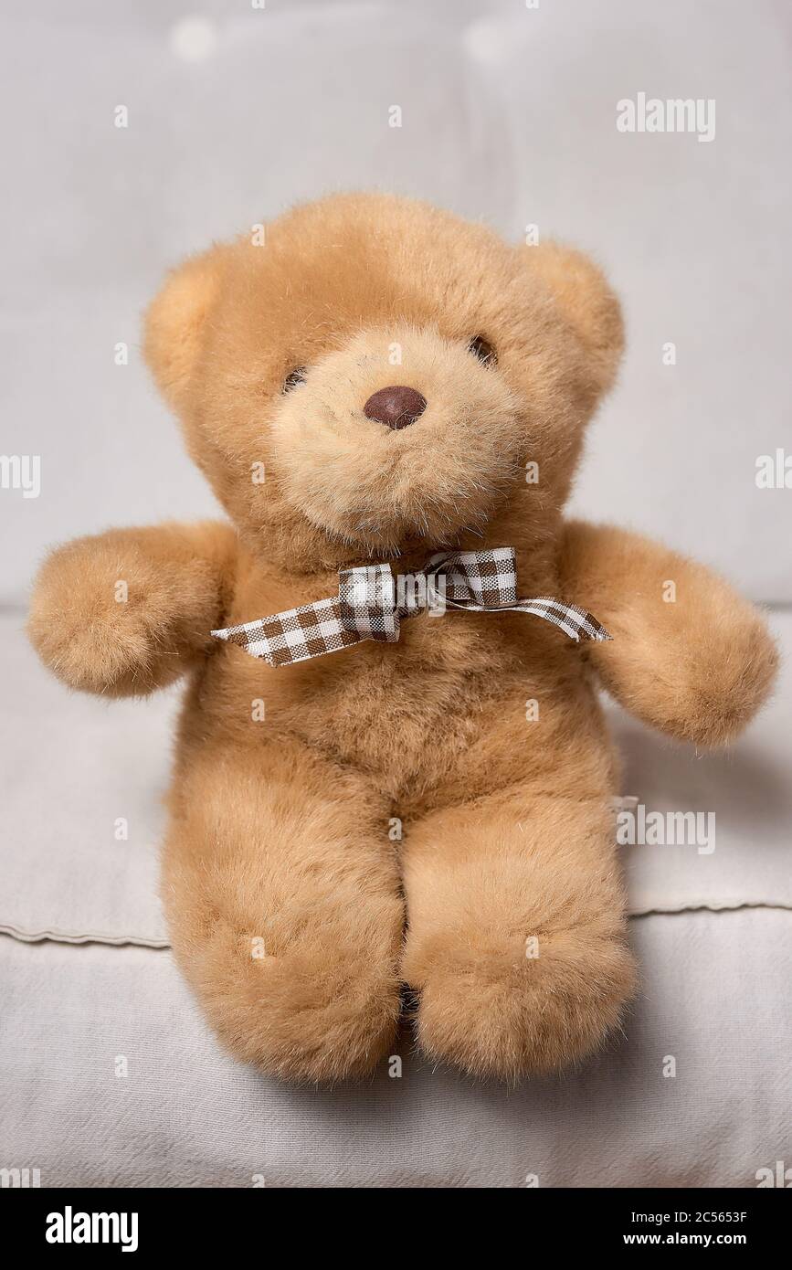 Cute teddy bear soft plush toy in a room Stock Photo Alamy