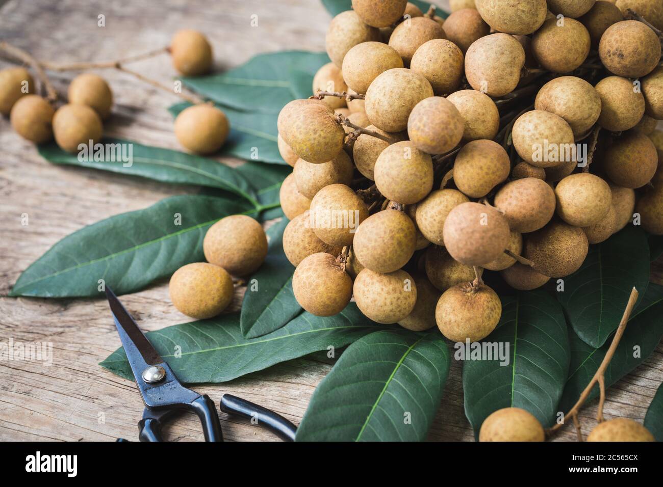 Fresh longan fruit Stock Photo Alamy
