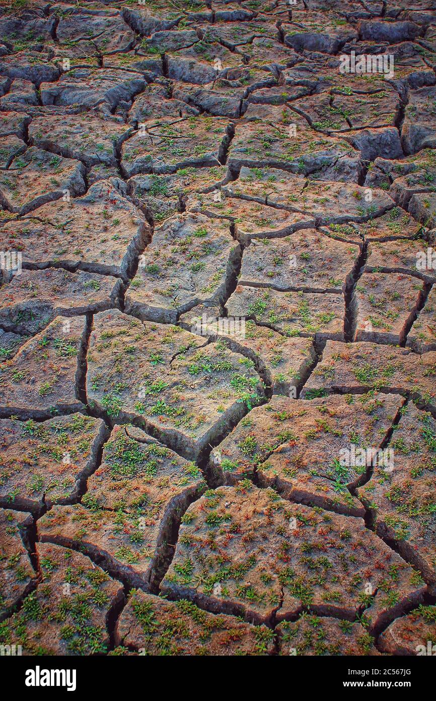 As a result of climate change, the field has become cracked Stock Photo