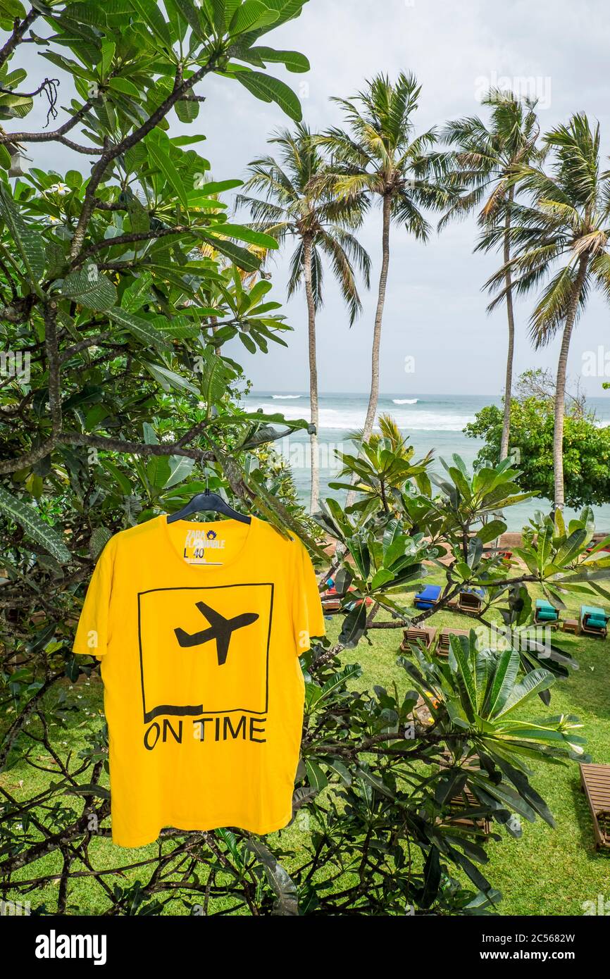 Yellow T-shirt with airplane print hangs on a hanger in the bushes Stock Photo