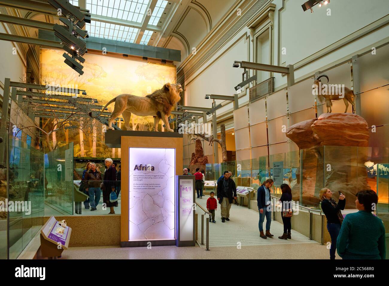 National Museum Of Natural History Washington Dc