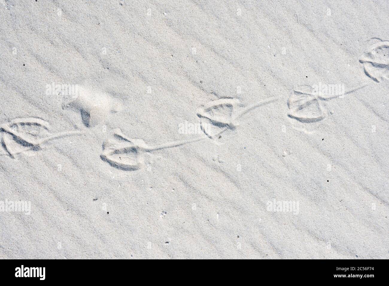 Structural trace hi-res stock photography and images - Alamy