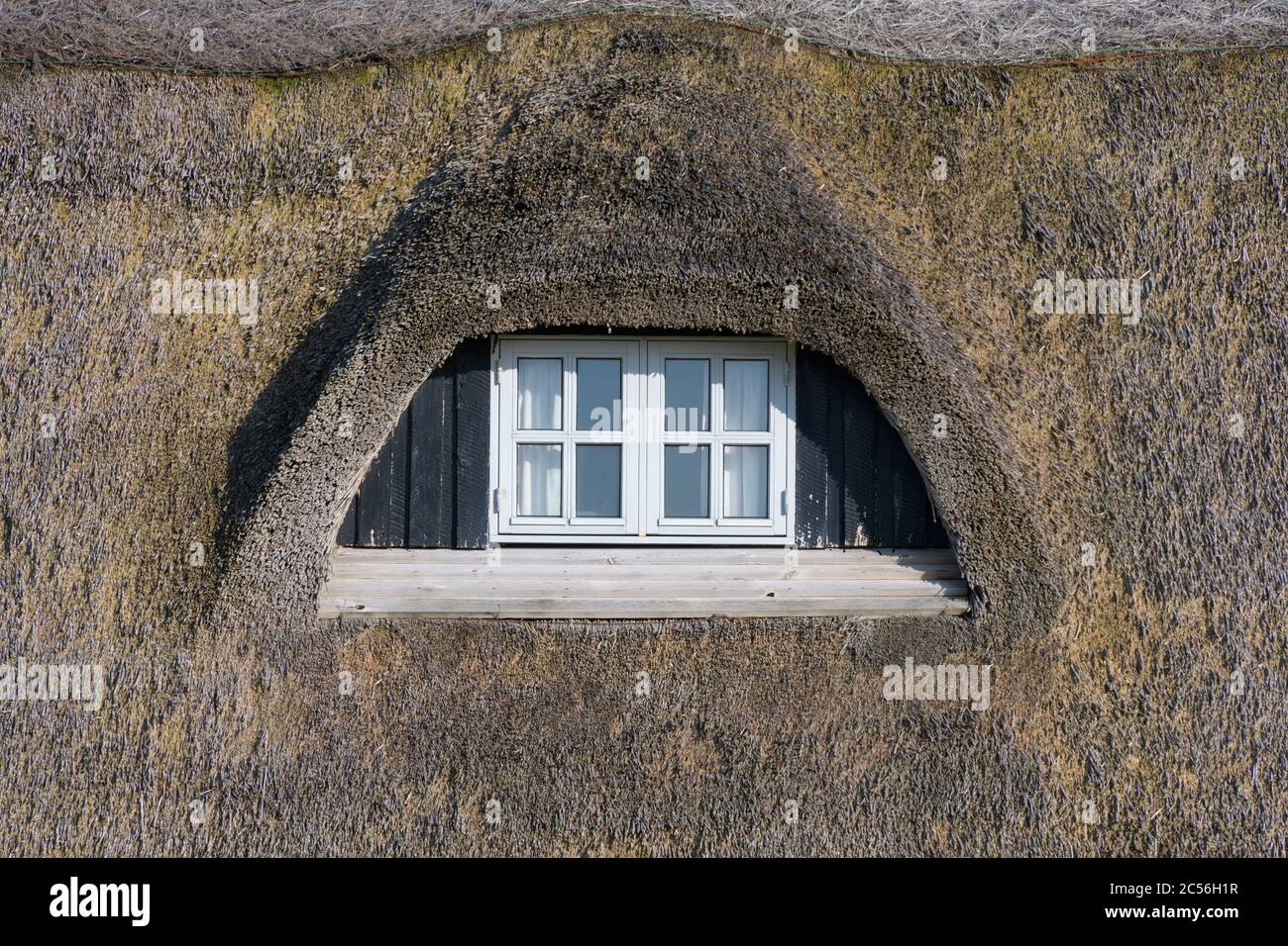 Dormer window of a thatched house, Klittmoller, Nationalpark Thy, North Sea, North Jutland, Denmark Stock Photo