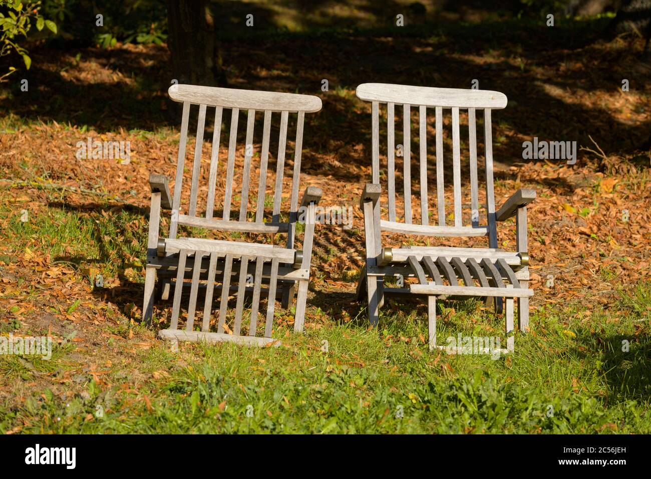 Two wooden lounge chairs in the garden Stock Photo Alamy