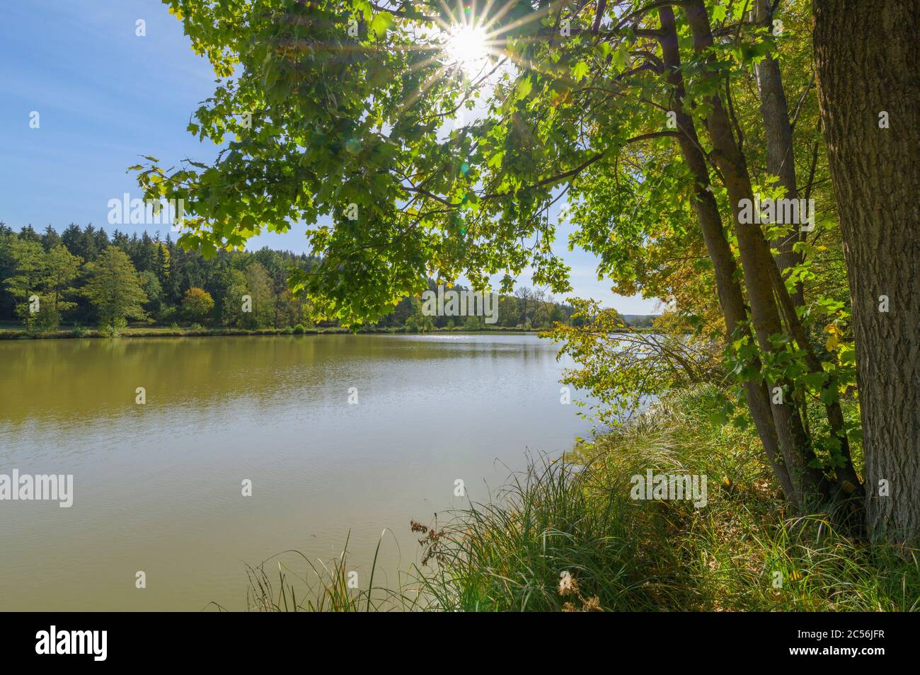 Fish ponds with sun Stock Photo - Alamy