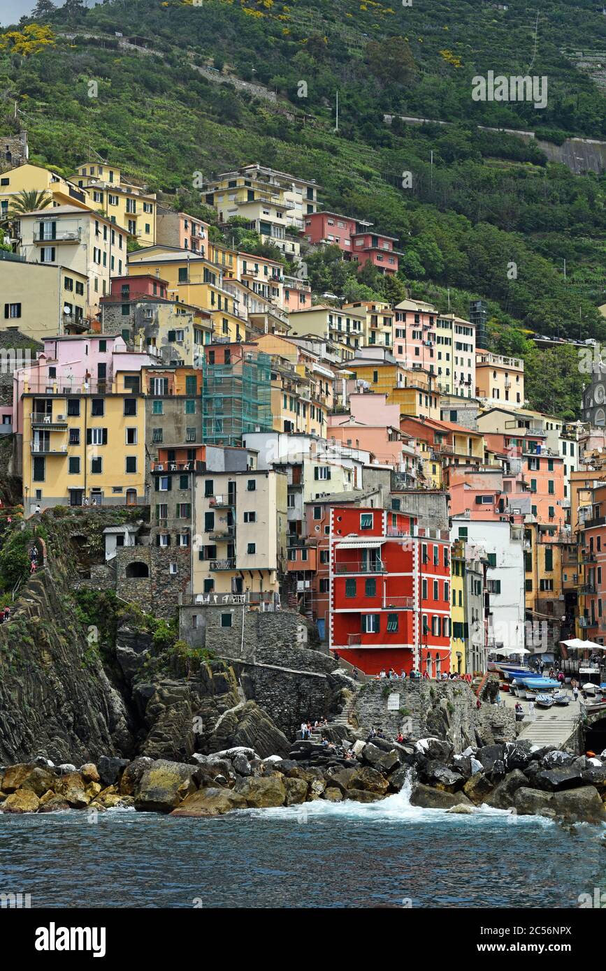 Europe, Italy, Liguria, Cinque Terre, Riomaggiore, colorful houses Stock Photo