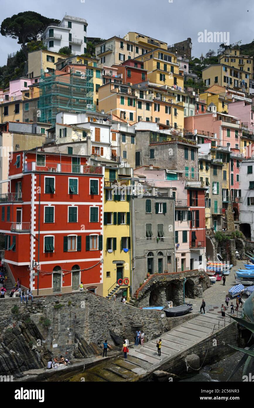 Europe, Italy, Liguria, Cinque Terre, Riomaggiore, colorful houses Stock Photo