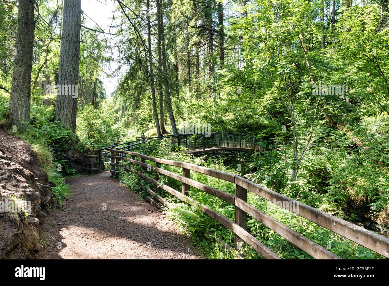 One of the bridges that criss cross the stream and  waterfalls in Glenariff Forest Park in Northern Ireland Stock Photo