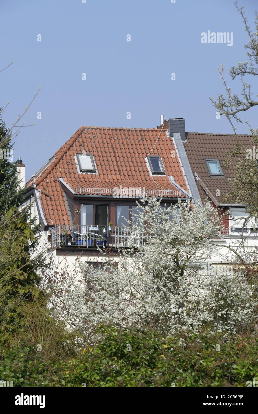 Modern apartment buildings, apartment buildings in spring, Bremen, Germany, Europe Stock Photo