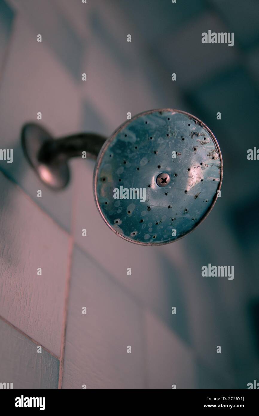 Old shower head attached to the wall Stock Photo Alamy