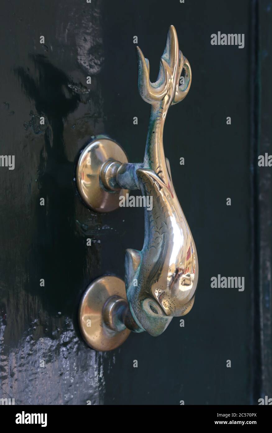 Lion Head Shaped Brass Door Knocker - Photos By