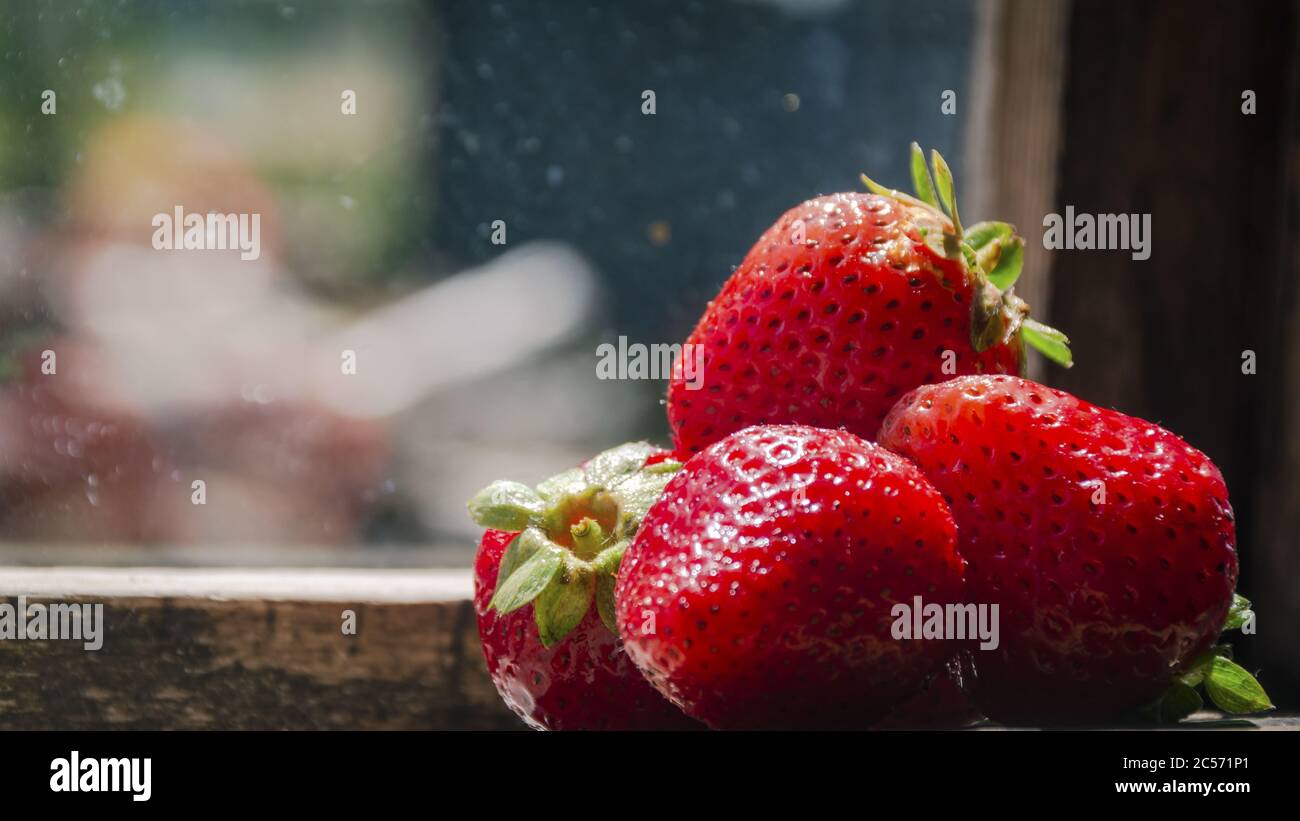 Closeup shot strawberry tree hi-res stock photography and images - Alamy