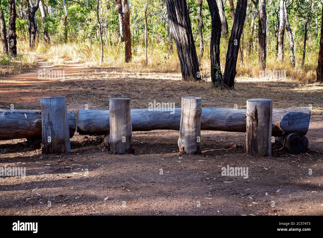 Logs used as tables and seating for a breakfast in the Australian bush
