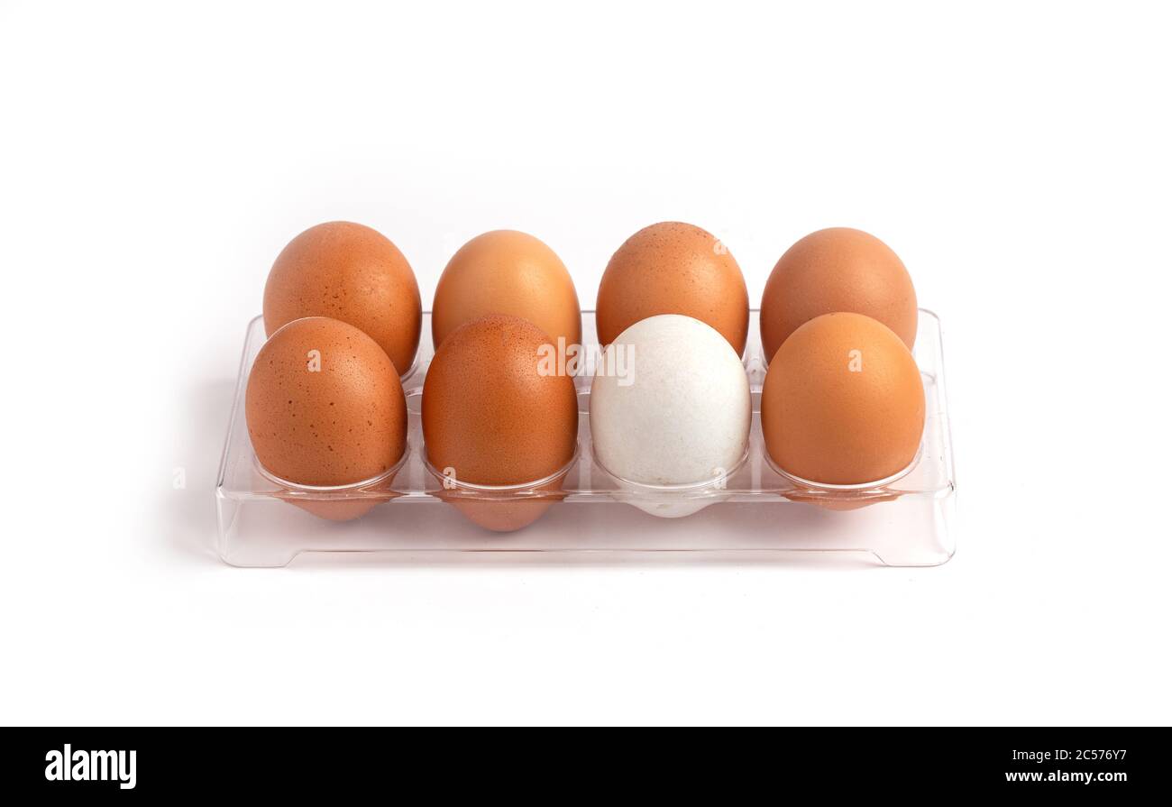 Egg, fresh chicken egg and duck egg in plastic box isolated on white background. Stock Photo