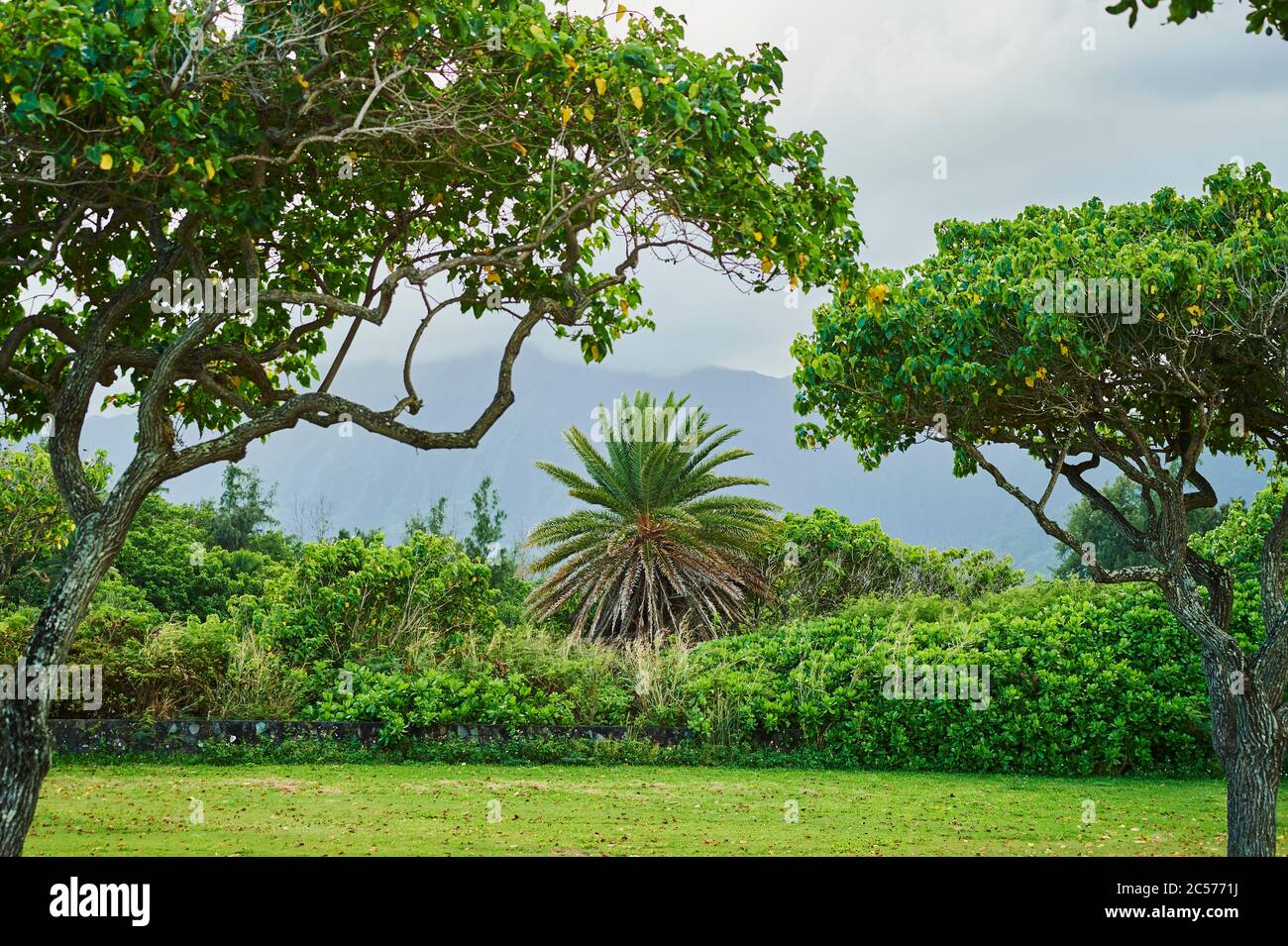 Landscape from Kualoa Point, Kualoa Regional Park, Oahu Island, Oahu