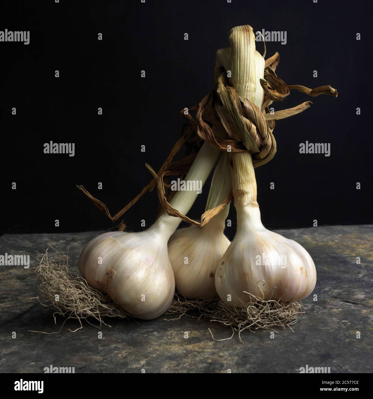 Fresh garlic on black background Stock Photo